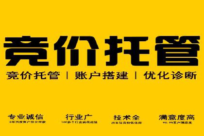 百度推广在电商领域的应用：成功提升销售额的秘诀